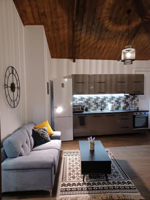 Luxury Apartment With Balcony Mytilíni Exteriér fotografie
